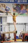 Спортивная гимнастика в Туле 3.12, Фото: 170