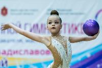 Тула провела крупный турнир по художественной гимнастике, Фото: 159