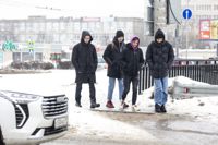 Улицы Тулы сковало льдом: фоторепортаж	, Фото: 14