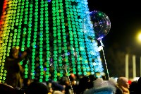 Открытие новогодней ёлки на площади Ленина, Фото: 67