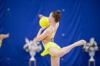Соревнования по художественной гимнастике на призы благотворительного фонда «Земляки», Фото: 139