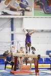 Спортивная гимнастика в Туле 3.12, Фото: 164
