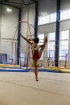 Спортивная гимнастика в Туле 3.12, Фото: 142
