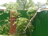Ураган в Плавске, Фото: 7