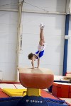 Спортивная гимнастика в Туле 3.12, Фото: 4