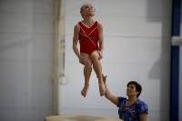 Спортивная гимнастика в Туле 3.12, Фото: 149