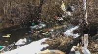 Поселок Славный в Тульской области зарастает мусором, Фото: 13