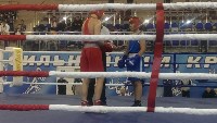 Тульские боксеры на Всероссийском турнире в Михайлове, Фото: 2
