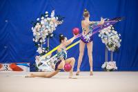 Соревнования по художественной гимнастике на призы благотворительного фонда «Земляки», Фото: 185