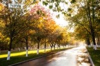 Центральный парк, утро, осень, Фото: 47
