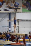 Спортивная гимнастика в Туле 3.12, Фото: 157