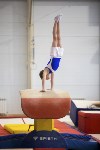 Спортивная гимнастика в Туле 3.12, Фото: 1