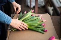 Как выращивают тюльпаны, Фото: 15