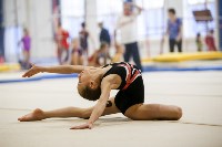 Спортивная гимнастика в Туле 3.12, Фото: 184