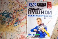 Концерт Александра Пушного, Фото: 1