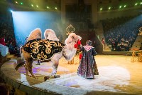 "Чудеса под Новый год" в Тульском цирке, Фото: 65
