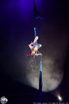 Цирк на воде «Остров сокровищ» в Туле: Здесь невозможное становится возможным, Фото: 121