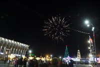 В Туле завершились новогодние гуляния, Фото: 40