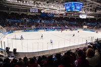 Женский хоккейный матч Канада-Финляндия. Зимняя Олимпиада в Сочи, Фото: 5