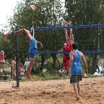 Пляжный волейбол в Барсуках, Фото: 100