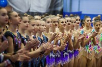 Всероссийские соревнования по художественной гимнастике на призы Посевиной, Фото: 19