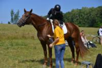 В Ясной поляне стартовал турнир по конному спорту, Фото: 83
