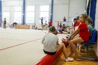 Спортивная гимнастика в Туле 3.12, Фото: 45