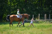 В Ясной поляне стартовал турнир по конному спорту, Фото: 140