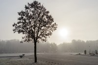 Ледяное утро в Центральном парке, Фото: 30
