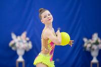 Соревнования по художественной гимнастике на призы благотворительного фонда «Земляки», Фото: 138