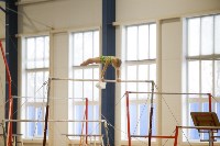 Спортивная гимнастика в Туле 3.12, Фото: 160
