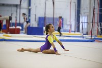Спортивная гимнастика в Туле 3.12, Фото: 116