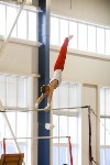Спортивная гимнастика в Туле 3.12, Фото: 15