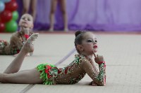 Соревнования «Первые шаги в художественной гимнастике», Фото: 51