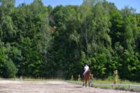 В Ясной поляне стартовал турнир по конному спорту, Фото: 100