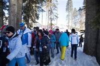 Олимпиада-2014 в Сочи. Фото Светланы Колосковой, Фото: 11