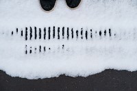 Мартовский снег в Туле, Фото: 105