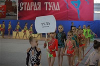 IX Всероссийский турнир по художественной гимнастике «Старая Тула», Фото: 22