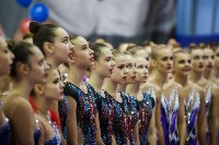 Всероссийские соревнования по художественной гимнастике на призы Посевиной, Фото: 17