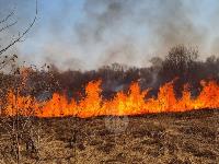 В Федоровке огонь с горящего поля едва не перекинулся на дома, Фото: 17