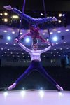 В Туле пройдет Международный детский и молодежный цирковой фестиваль «На языке мира», Фото: 24