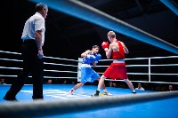 Финал "Гран-При Тулы" по боксу, Фото: 67