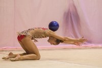 Всероссийский турнир по художественной гимнастике, Фото: 111