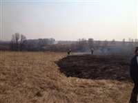 В Ленинском районе из-за горящей травы сгорела дача, Фото: 5