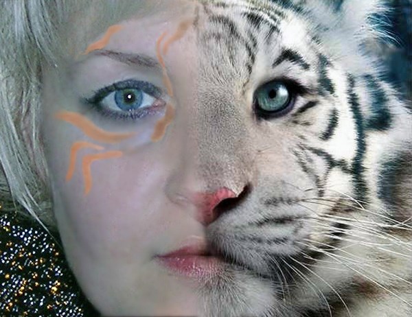 Я родилась в год Тигра. С 9-го класса старалась быть блондинкой. Поэтому белый тигр - это я   :-)