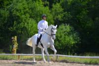 В Ясной поляне стартовал турнир по конному спорту, Фото: 143