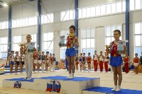 Спортивная гимнастика в Туле 3.12, Фото: 50