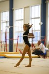 Спортивная гимнастика в Туле 3.12, Фото: 85