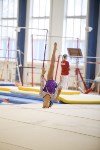 Спортивная гимнастика в Туле 3.12, Фото: 162