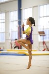 Спортивная гимнастика в Туле 3.12, Фото: 113
